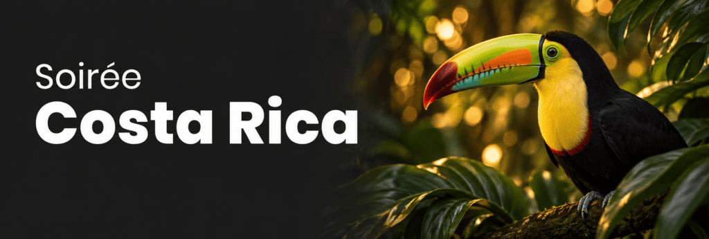 Soirée Costa Rica, avec un toucan au milieu d’un feuillage tropical sur fond anthracite.